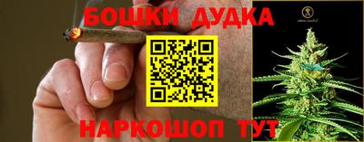 твердый Пугачёв
