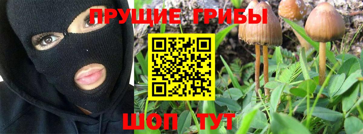 Псилоцибиновые грибы Psilocybine cubensis Реж